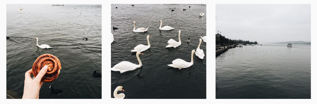  photo 2017-01-08  18.49.40_zpszvp96oa4.png