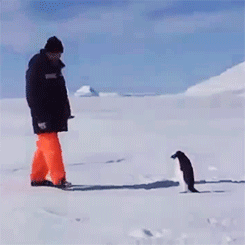  photo anigif_enhanced-buzz-12706-1393962848-13_zpsa1401491.gif