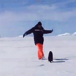  photo anigif_original-grid-image-6513-1393962876-11_zps63e7637a.gif