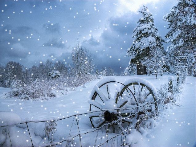 beautiful winter photo: Winter Scenery 1643794-1024x768-0_3463-SNOW_zps62577a68.gif
