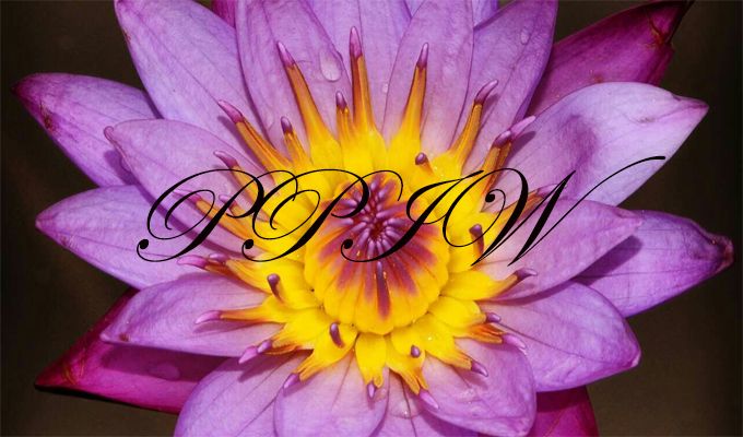 photo PPIW 1_zpssoohh266.jpg