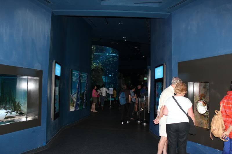photo IMG_4921_zps4d1dba9b.jpg