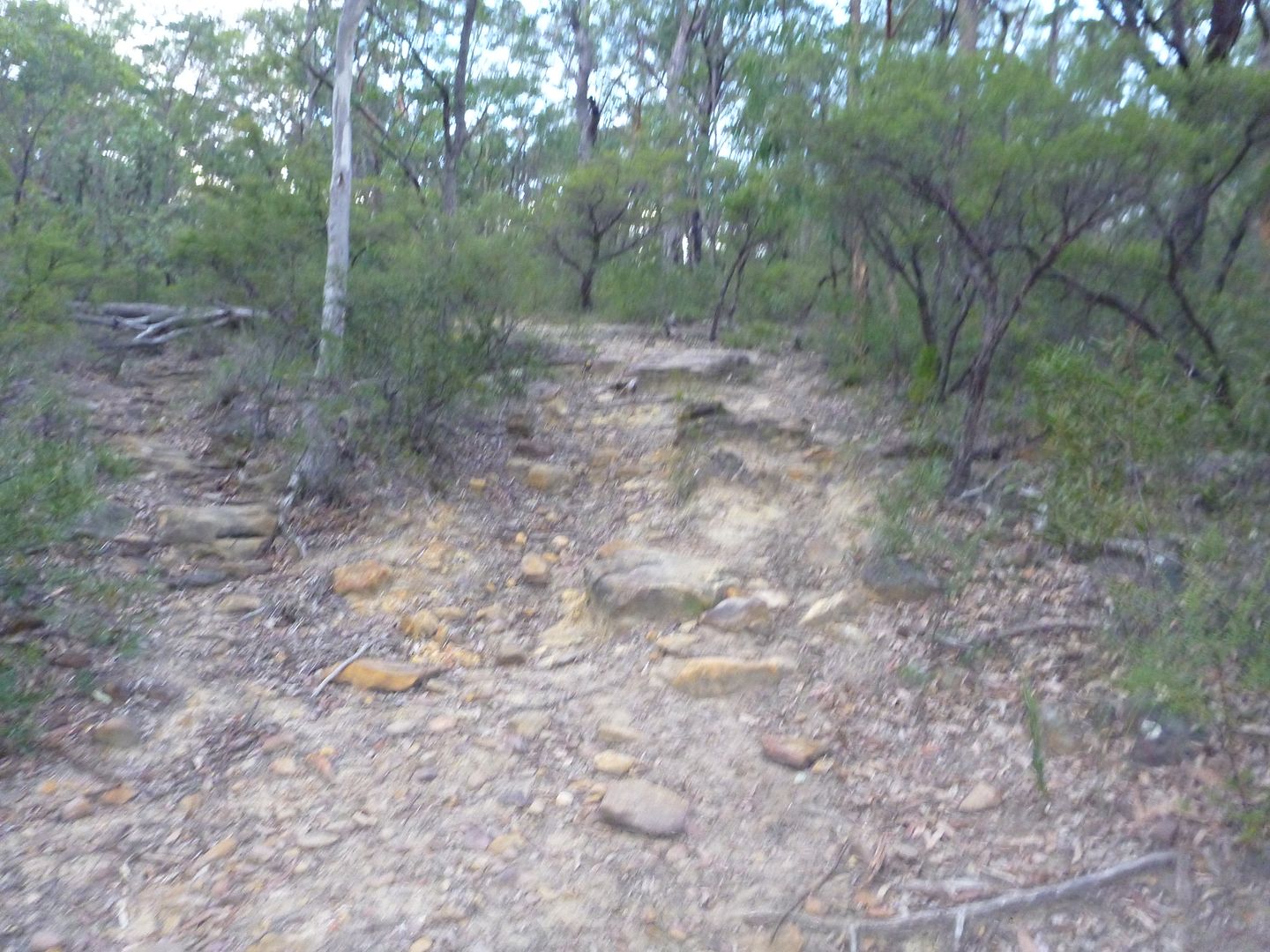 P1010697_zpse0a8a120.jpg