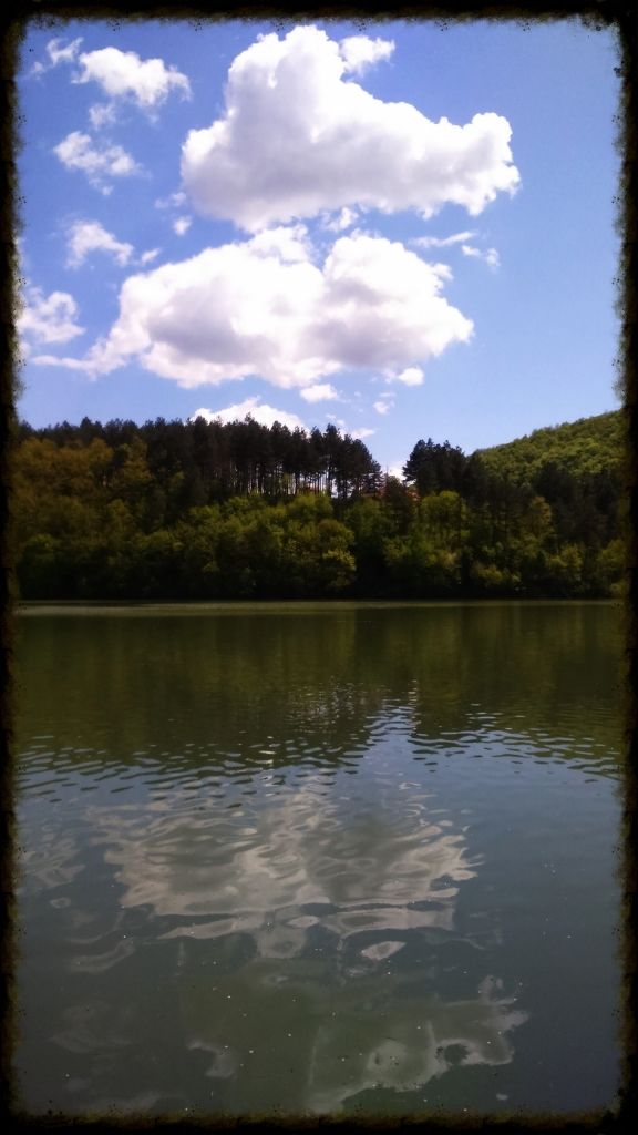 Slika