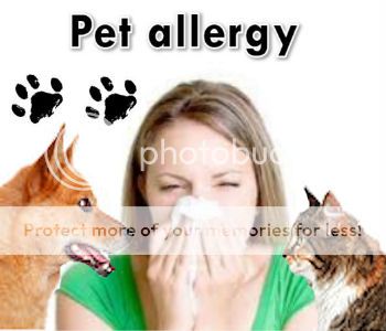 pet allergy nj_zps6d334abe