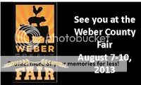 weber county fair flier